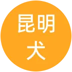 昆明犬交流群 群聊头像