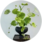 丽丽戏迷大家庭 群聊头像
