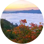 海棠山看日出云海④群 群聊头像