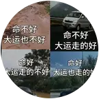 风月入玄门 群聊头像