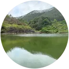 一杆风月钓江湖💦🎣🇨🇳🌾 群聊头像