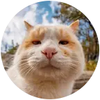 猫猫虫活动中心 群聊头像