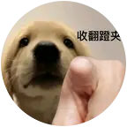 济南游泳搭子 群聊头像