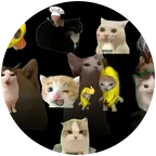 猫meme群聊。 群聊头像
