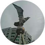 信宜本地聊天群 群聊头像