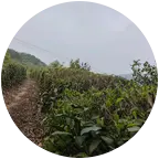 小徐农村生活 群聊头像