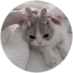 (*≧ω≦) 群聊头像