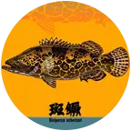 阿超路亚交流群🎣 群聊头像