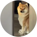 九哥爱宠交流群 群聊头像