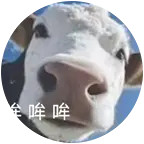 牛枯禄_牛窝🐮 群聊头像
