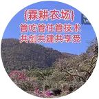 霖耕农场（1生活群） 群聊头像